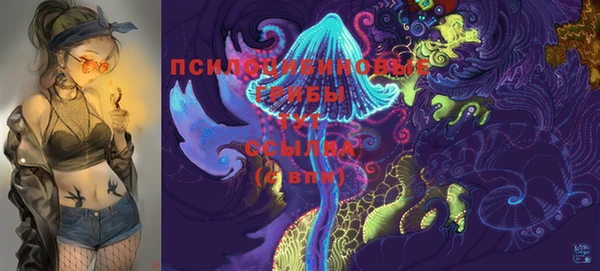 герыч Вязники