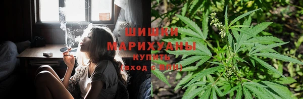 альфа пвп Вяземский
