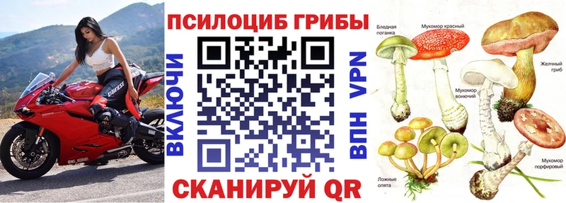 что такое наркотик  Окуловка  Галлюциногенные грибы GOLDEN TEACHER 