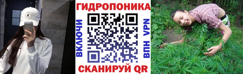 МАРИХУАНА SATIVA & INDICA  где найти   Окуловка 